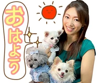 小早川怜子LINEスタンプ